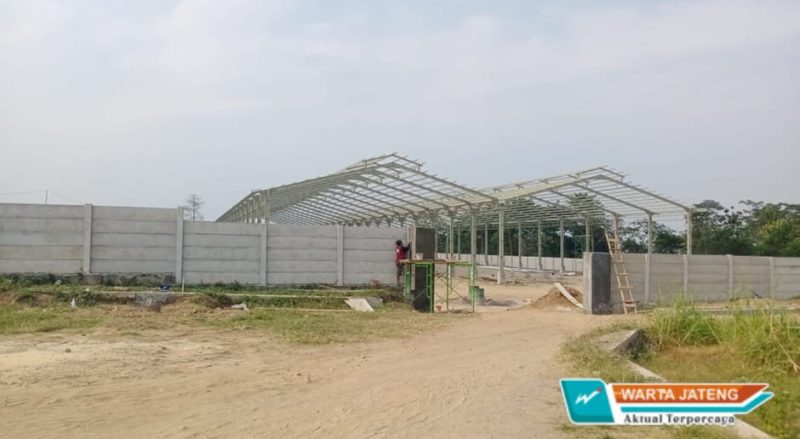 Serap Ribuan Tenaga Kerja, Klaten Bakal Punya Pabrik Kayu Lapis