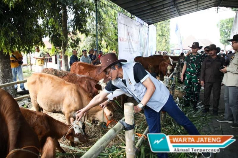 Produksi Daging di Jateng Tertinggi Kedua Nasional, Sekda Ajak Peternak dan Stakeholder Tingkakan Produksi
